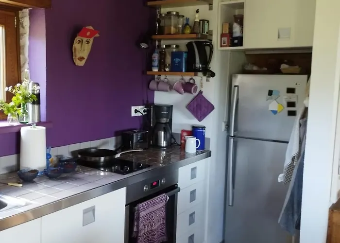 Elli Vilă Pinakátai