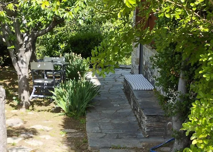 Elli Vilă Pinakátai